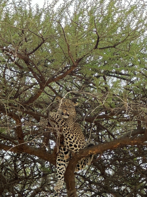 Itinerary Image 5