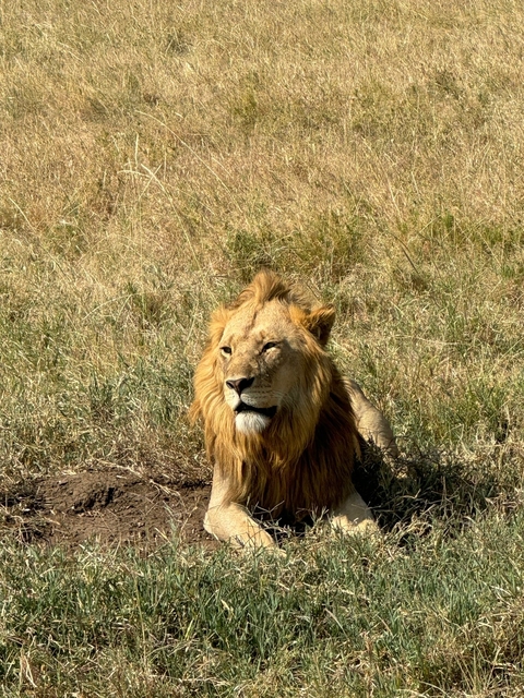 Itinerary Image 8