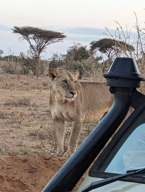       Tsavo Ost, Amboseli, Lake Nakuru &amp; Masai Mara Safari 6 Tage Foto von Kundenbewertung 
  