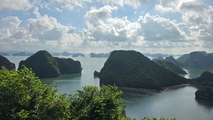       Lush green islands in a bay with a clear sky
  