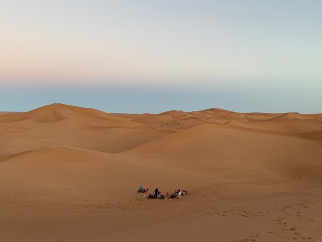 Group of people with camels in a desert landscape as the sun sets.