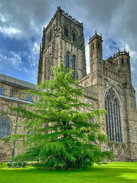      Large, medieval cathedral with lush greenery in front.
  