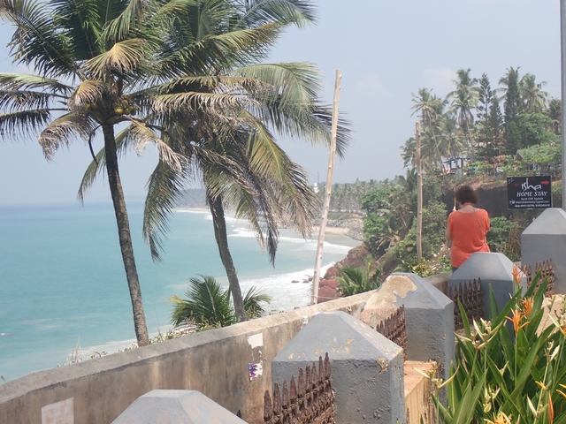 Woman sitting seaside, overlooking palm trees and ocean