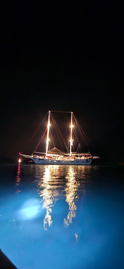       Sailing ship illuminated at night on the water.
  