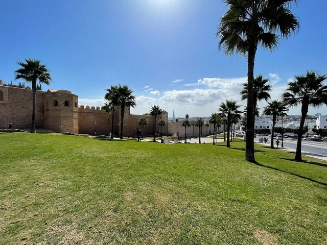       Lush green park with tall palm trees and an ancient wall.
  