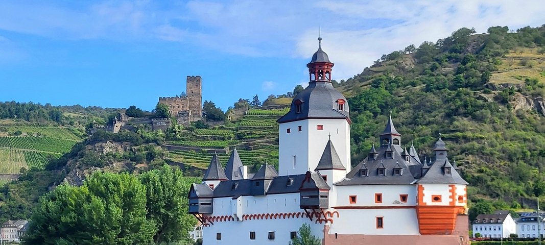 Castle on a hill with vineyards.