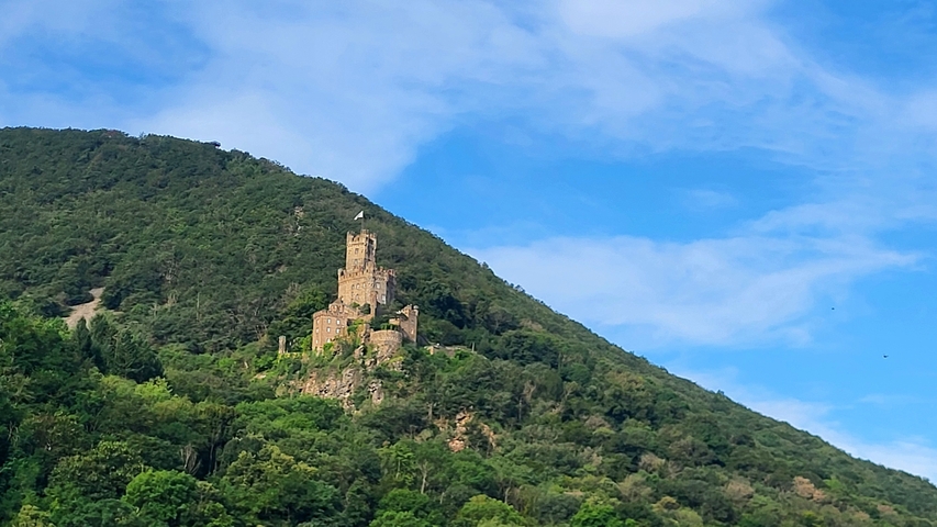 Hilltop tower and dense forest.