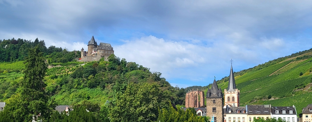 Hilltop castle with forest and cloudy sky.