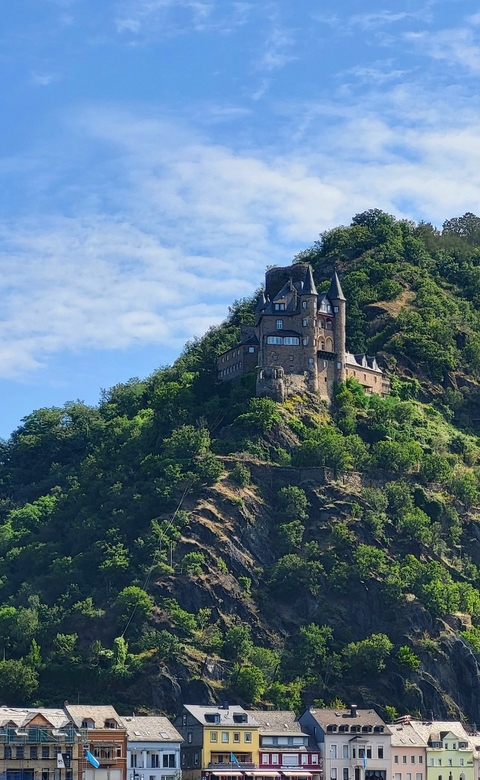       Castle on a rocky hillside with greenery.
  