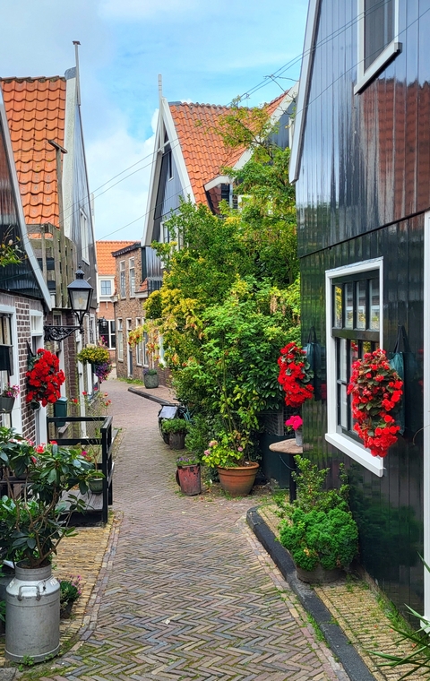       Quaint street with colorful flowers.
  