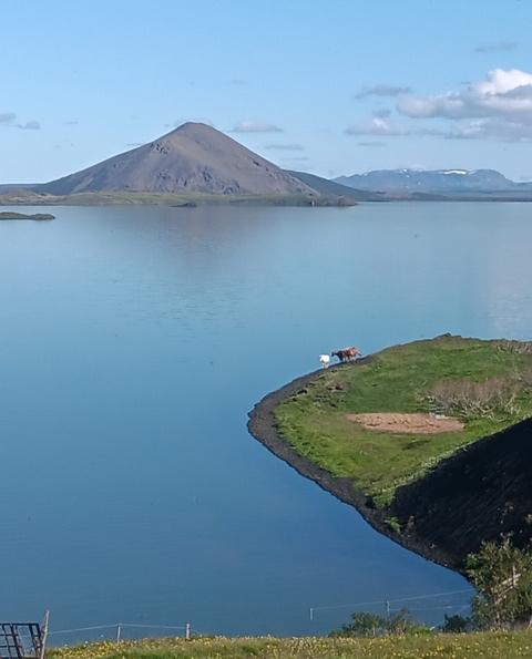       Klantbeoordelingsfoto van Het beste van IJsland 
  