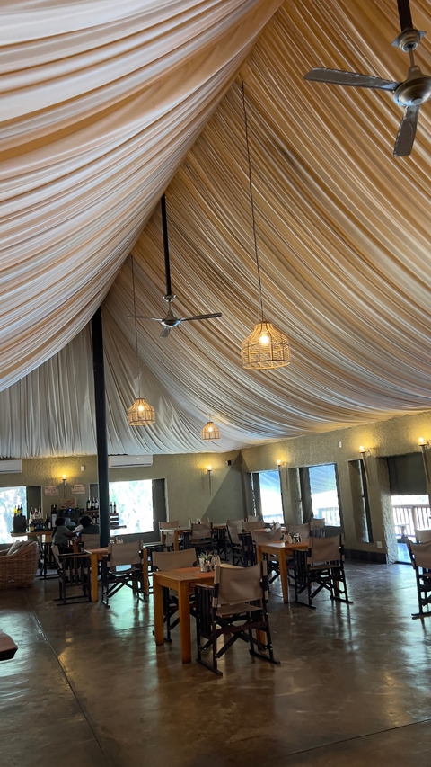 Indoor ceiling with lights and fans.