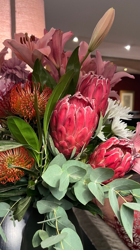 Close-up of colorful flowers.
