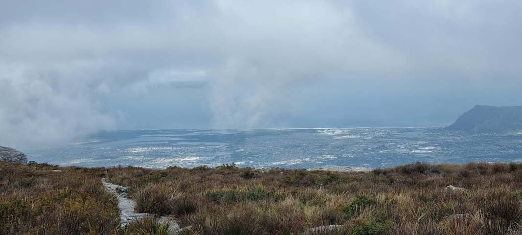 Overcast view of coastal landscape.