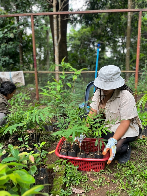 People working in a lush green area, possibly a farm or garden.