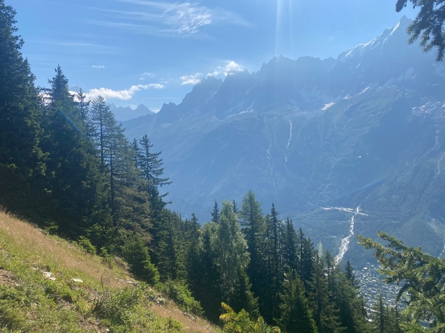      A breathtaking view of alpine mountains with a lush green valley and trees.
  