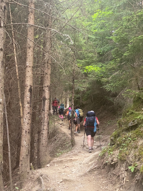       A group of hikers walking through a dense forest trail.
  
