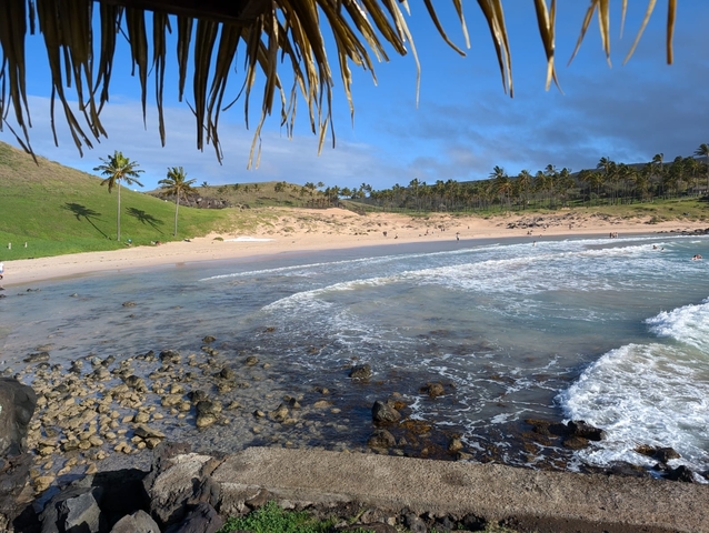       Beach with palm trees and waves crashing on the shore.
  