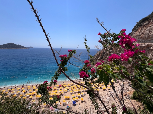 Coastal view with flowers in the foreground and beach umbrellas.