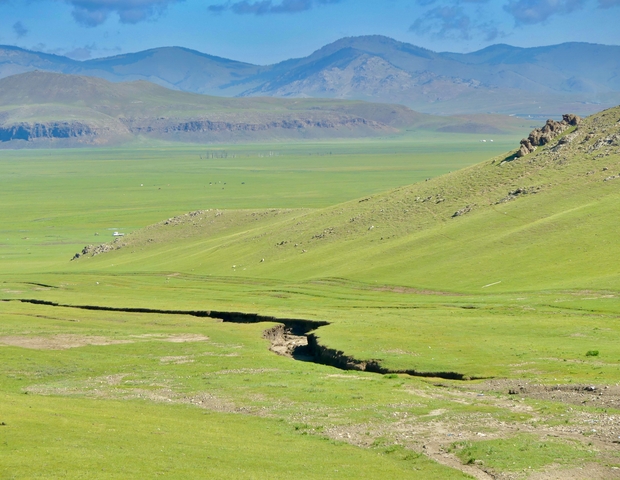       Wide open green Mongolian landscape.
  