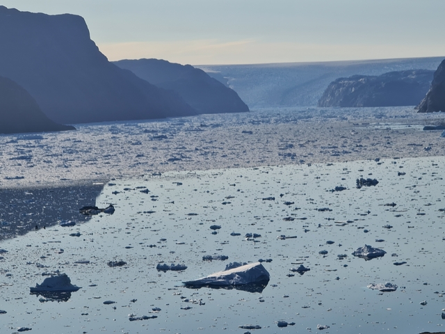       A wide view of a fjord with scattered icebergs.
  