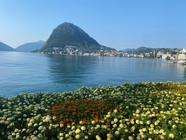 Mountainous landscape with flowers blooming beside a lake.