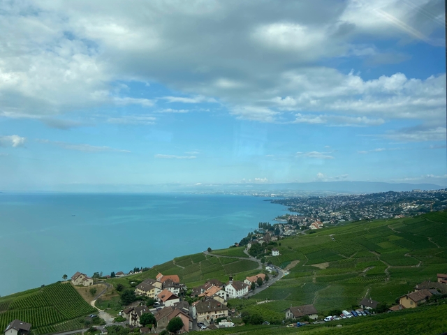 Wide view of a lake with vineyards on a hillside.