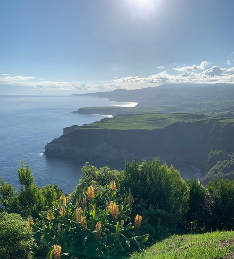       Scenic coastal landscape with green hills and the ocean.
  