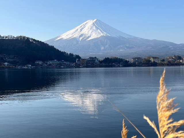 Mount Fuji reflected in a serene lake with a clear sky.