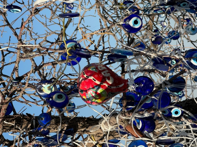       Colorful glass evil eyes hanging from a tree branch.
  