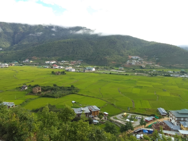 Panoramic view of lush green fields and mountains in Bhutan.