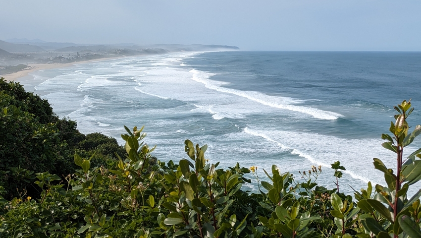 Coastal view with waves and greenery.