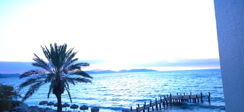 Overexposed riverside view with palm trees and a pier at sunset.