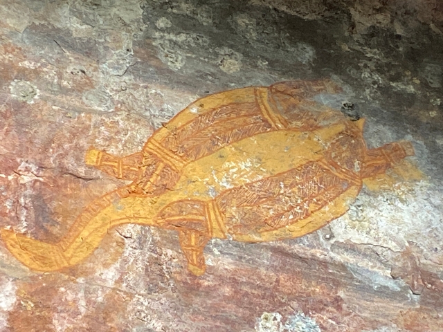 Rock art depicting a turtle.
