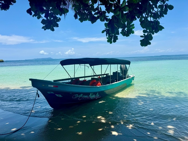       Boat anchored near a tropical beach.
  