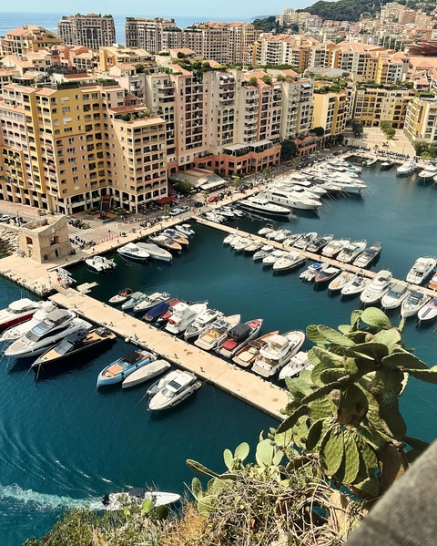 A scenic view of a luxury marina with many moored yachts.