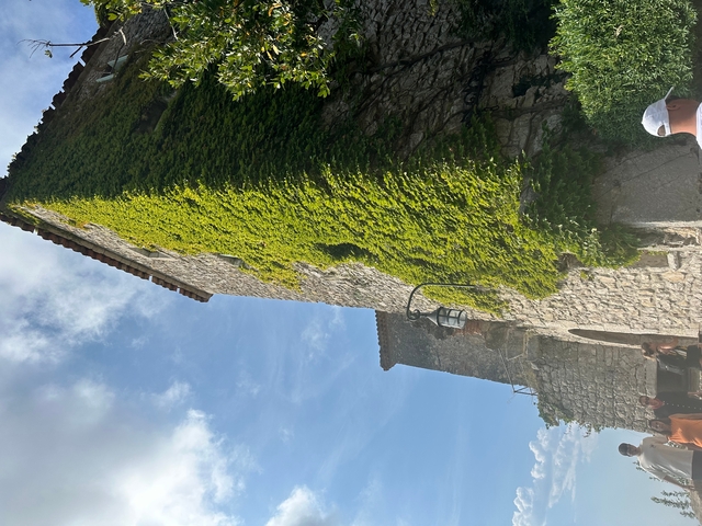 Stone building with green ivy and sky in the background.