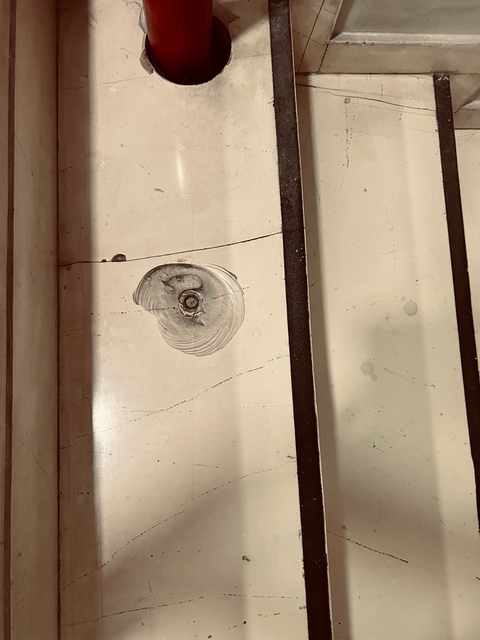 Close-up of a crack on a wall with markings.