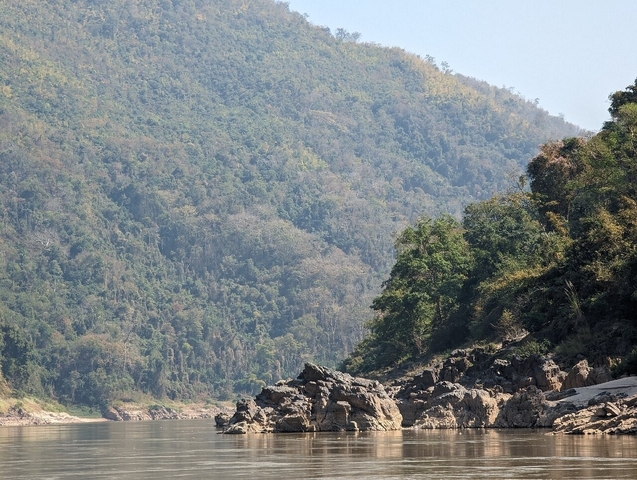       Dense forest view up the slopes of a mountain.
  