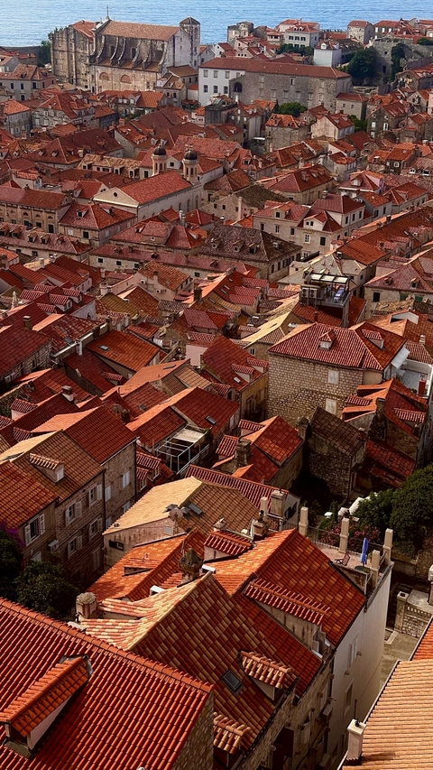       View of red tiled rooftops densely covering a city.
  
