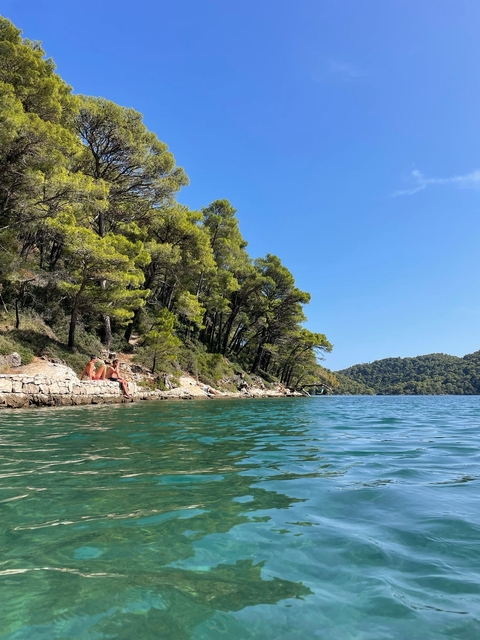 People sitting on rocks near a forested shoreline overlooking the sea.