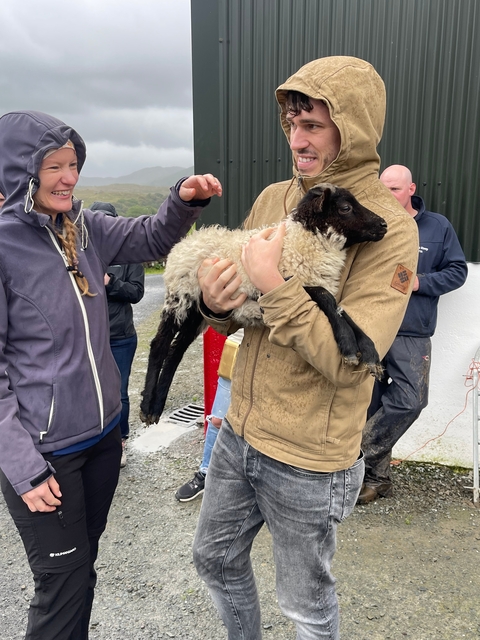 Person holding a small sheep or lamb outside.