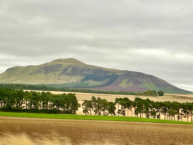       Mountain landscape with cloudy sky and trees in the foreground.
  
