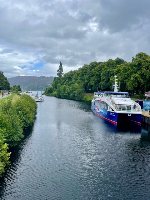       A large ferry docked on a river with surrounding greenery.
  