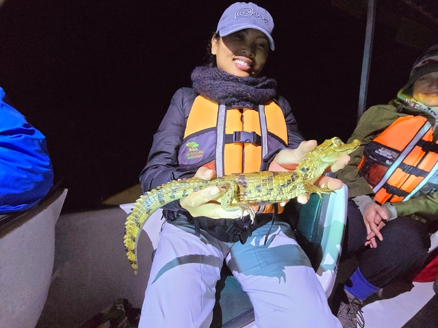       Person holding a small crocodile at night on a boat.
  