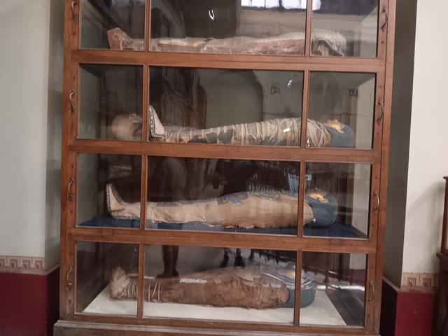 Mummified bodies displayed in a glass case.