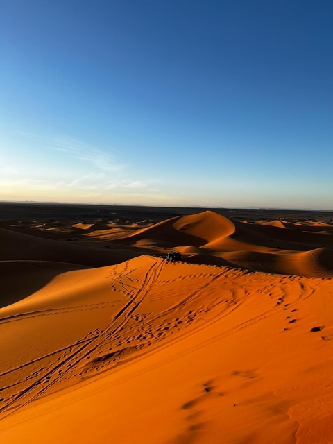       Golden sand dunes with vehicle tracks at sunrise.
  