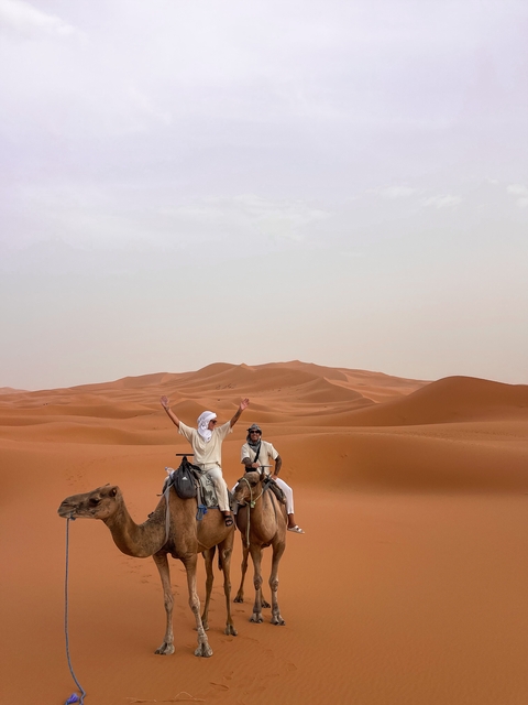 People riding camels in the dunes