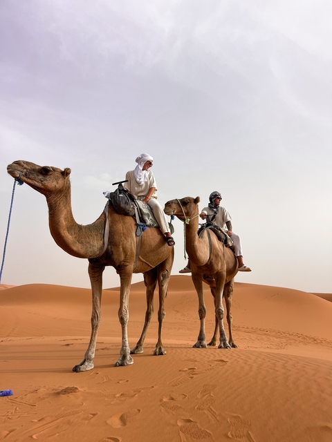 People riding camels in the desert