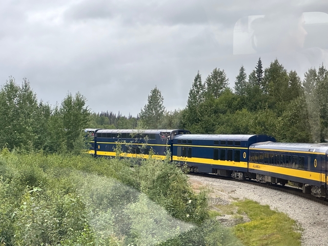 Train traveling through a forested landscape on a cloudy day.